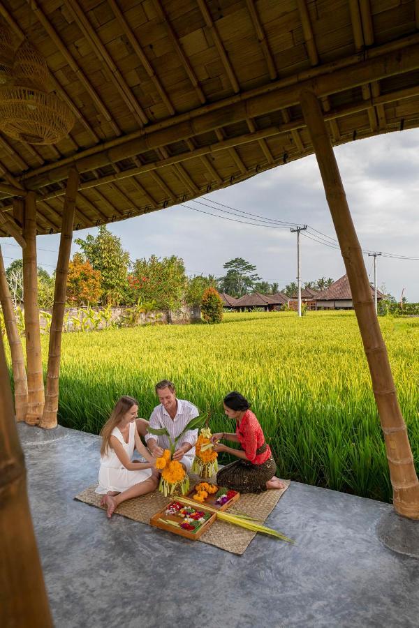 The Sun Of Granary And Resort 4*