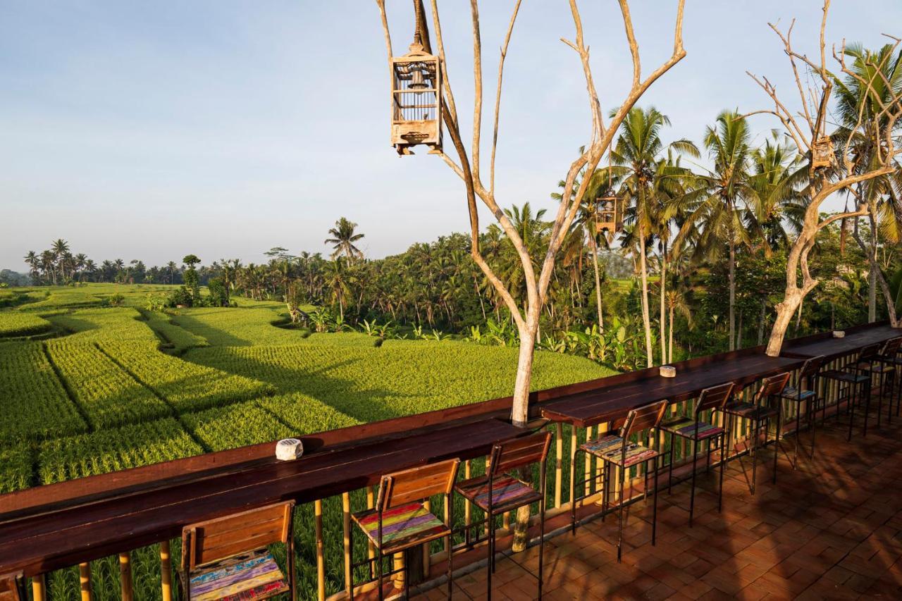 The Sun Of Granary And Resort