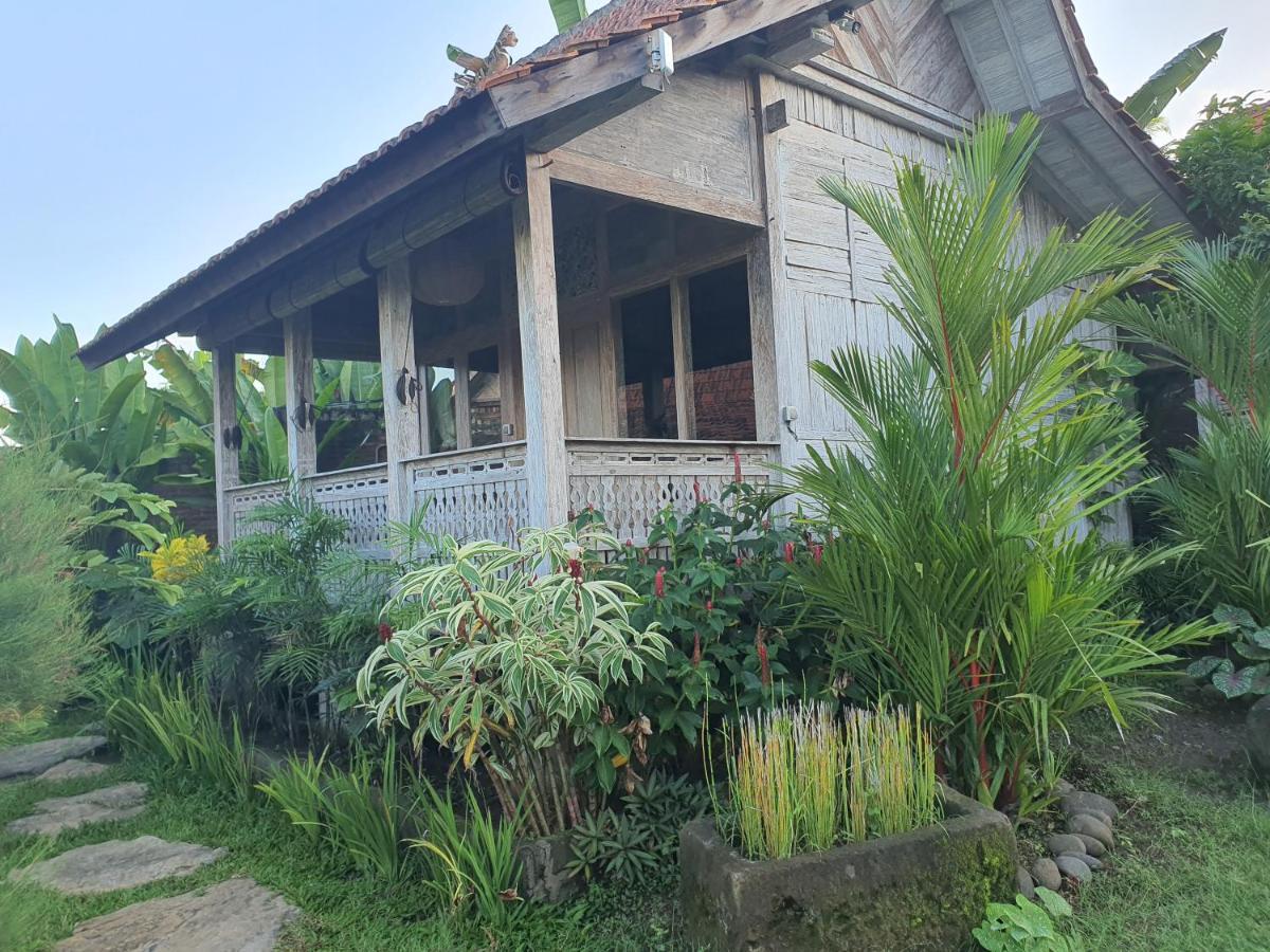 Agaliving Medewi Tempat Tidur & Sarapan 4*