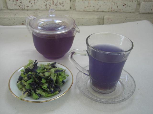 Inn Amrita Sidemen