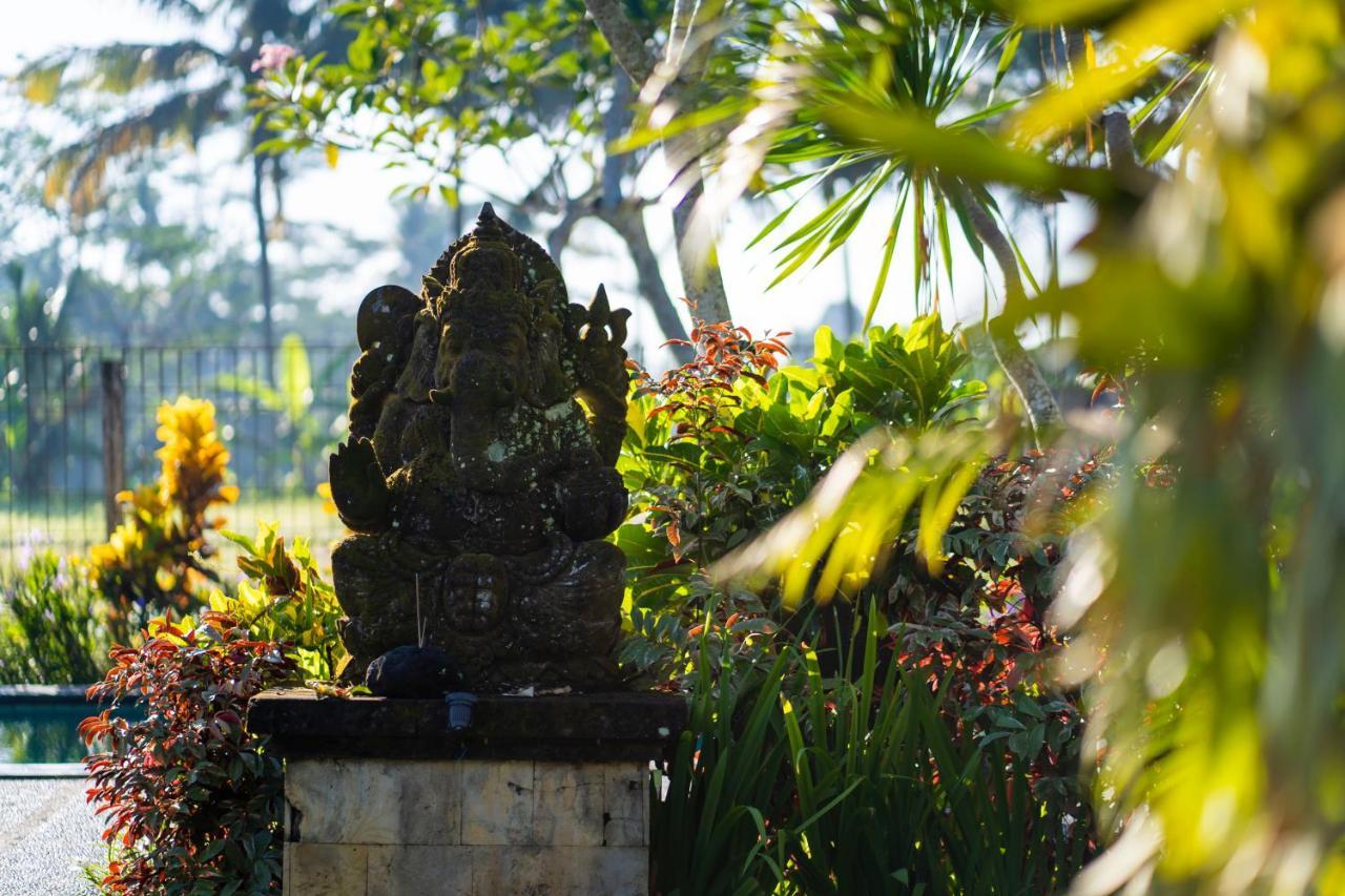 Mandi Resort 4*
