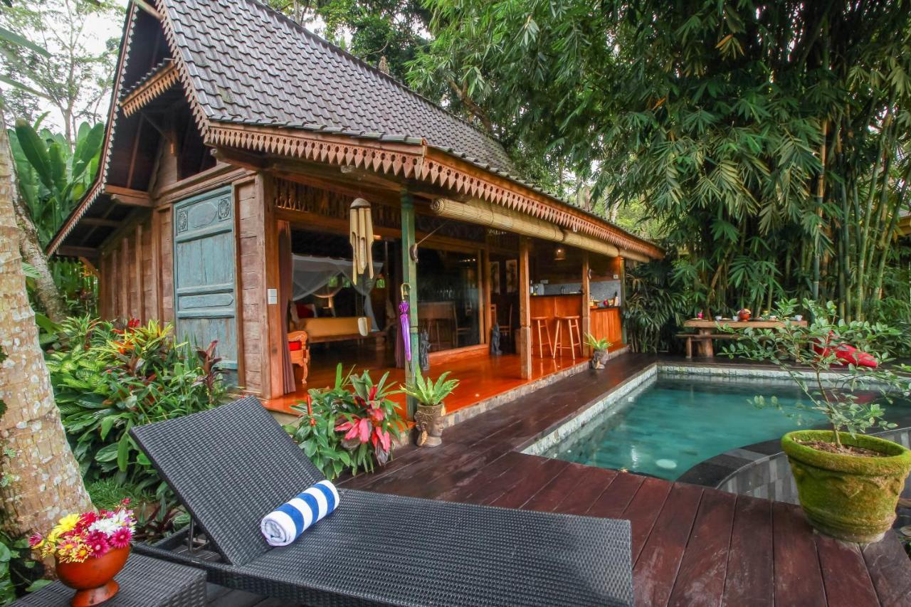 Guest house Masakali Retreat Ubud (Bali)