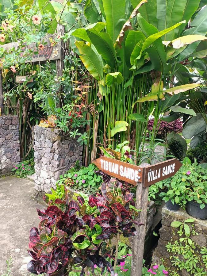 Sande 3* Munduk (Bali)