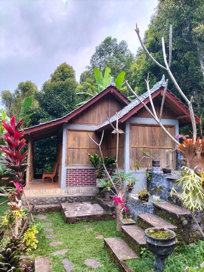 Friendly Lemukih Homestay *