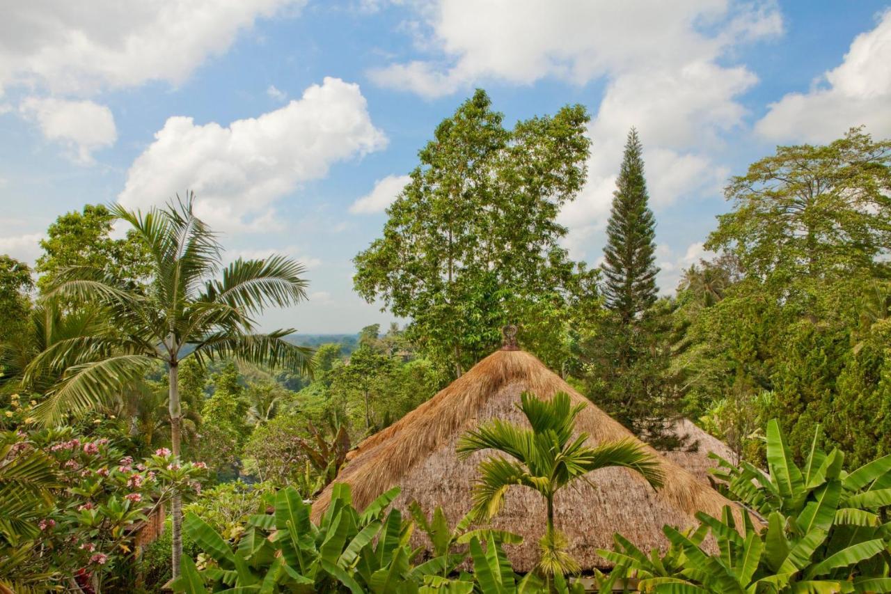 Uma Resort Ubud (Bali)
