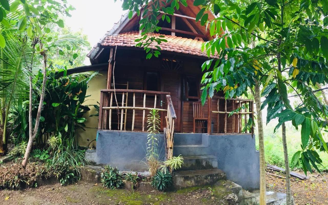 Echo Alam Nusa 2* Toyapakeh