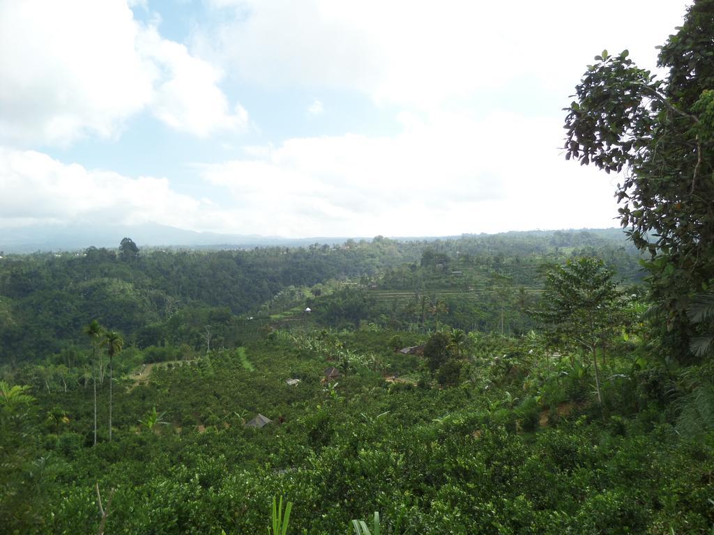 Villa Senetan And Ubud (Bali)