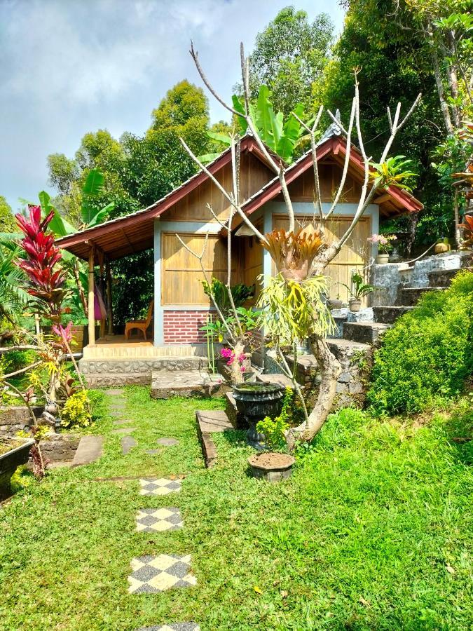 Friendly Lemukih * Singaraja (Bali)