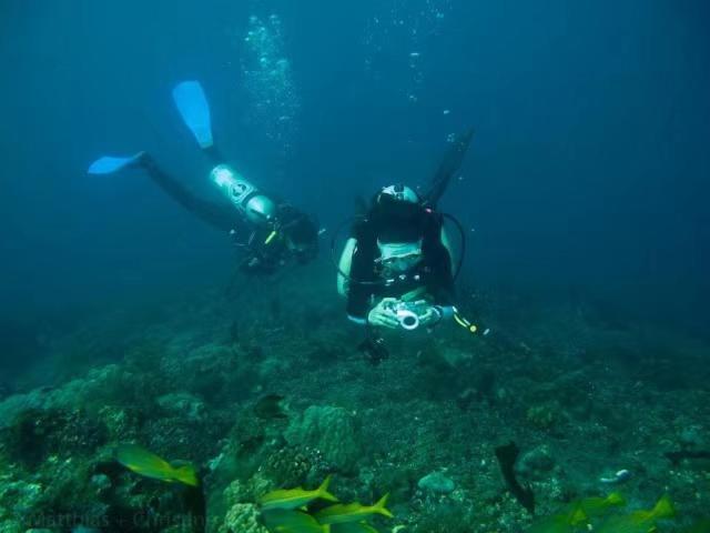Hotel Alba Bali Dive 3*