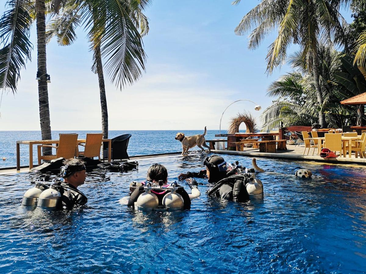 Alba Bali Dive 3* Tulamben (Bali)