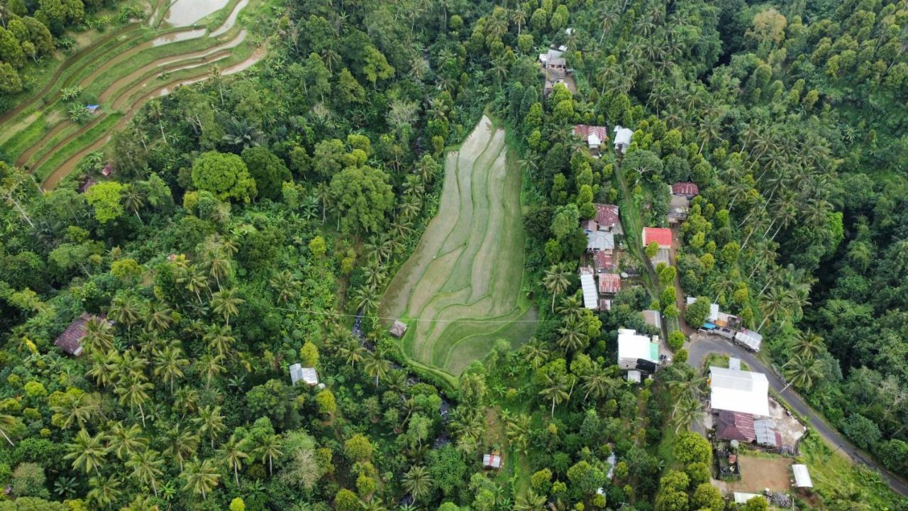 Ananda Lemukih Homestay