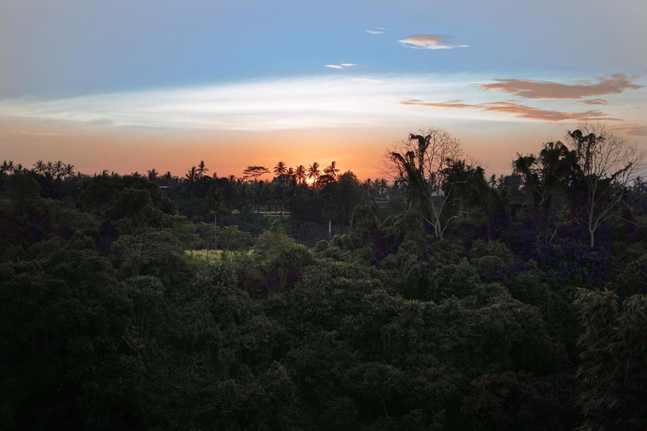 Sunrise 3*