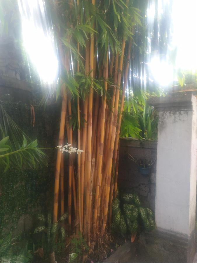 Santa Fe & Warong * Amed (Bali)