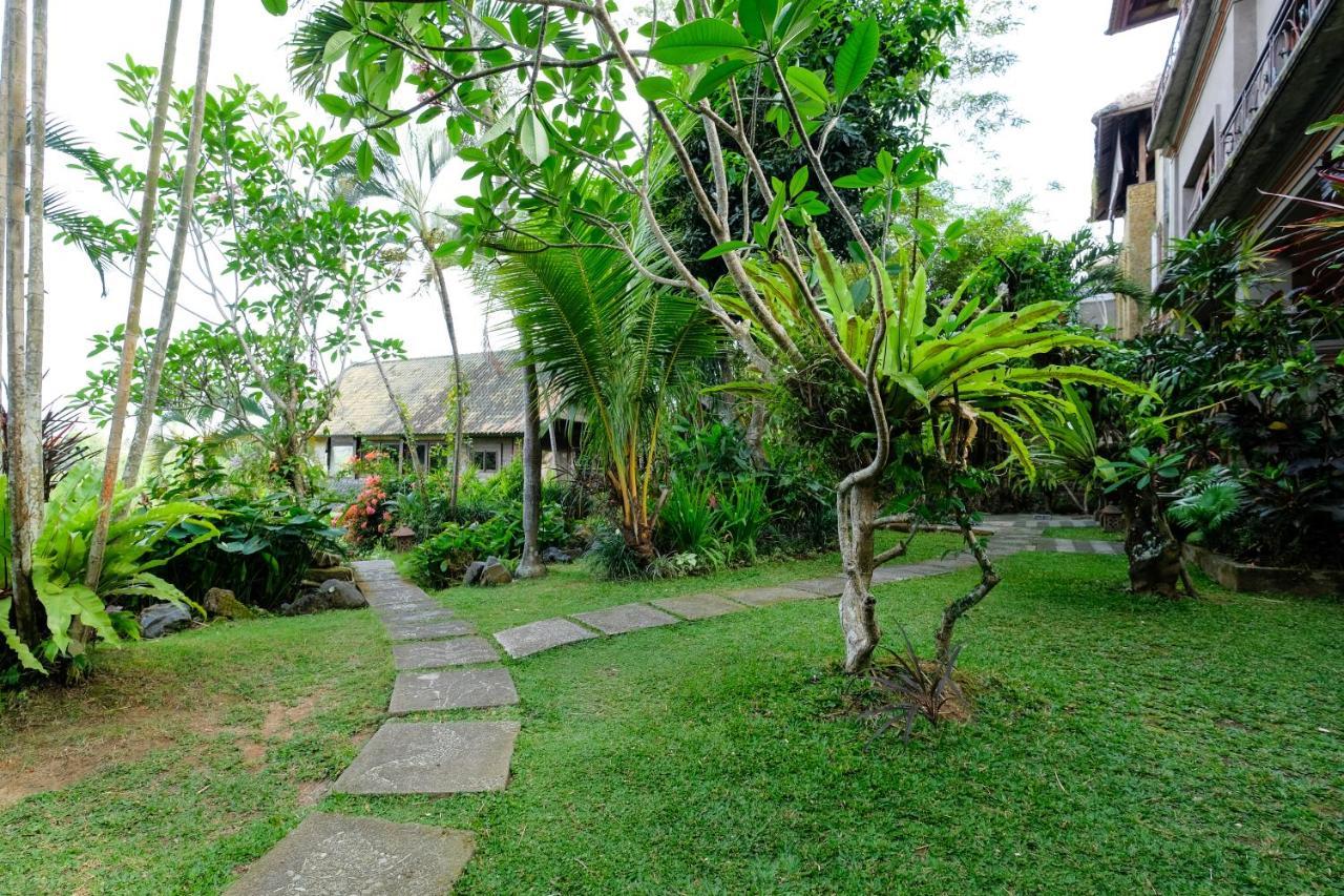 Hotel Sunrise 3*