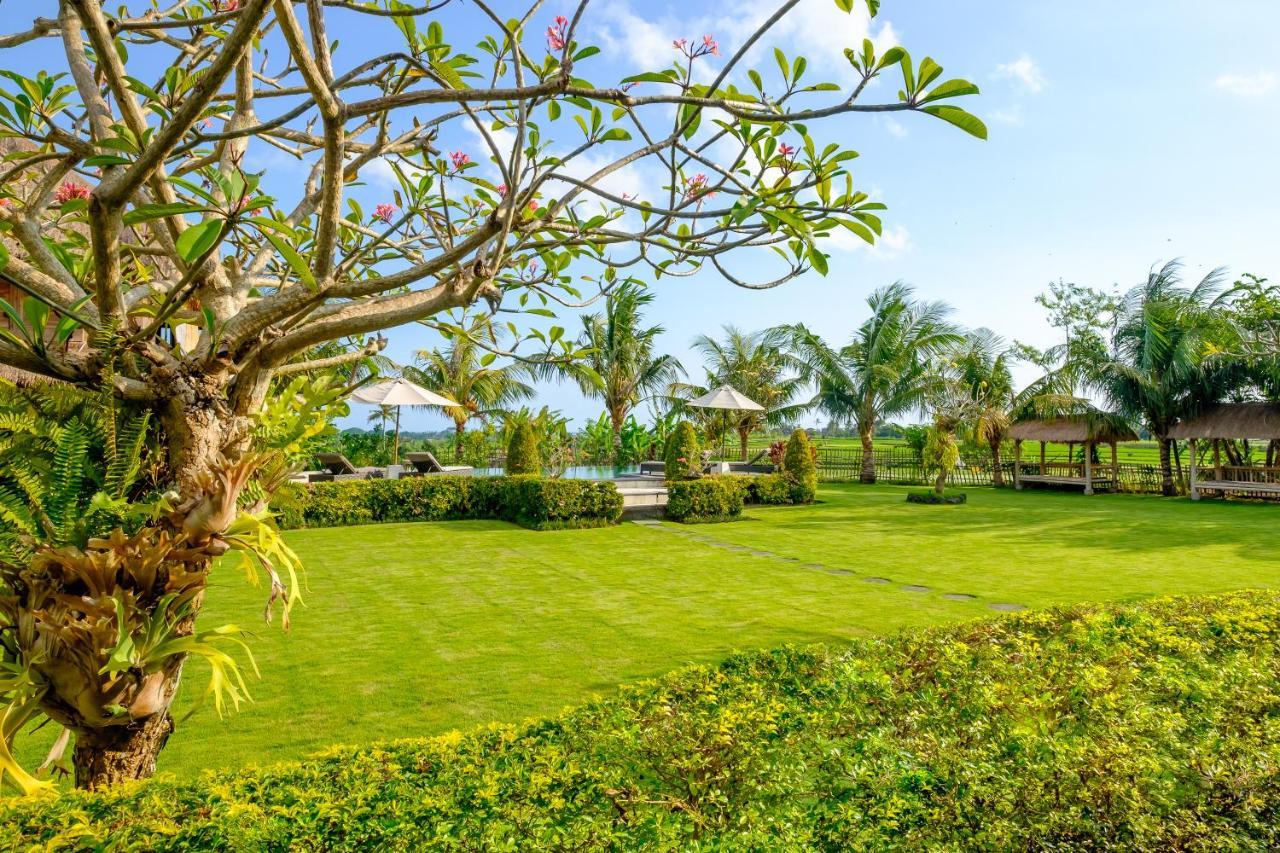 Tempat Tidur & Sarapan Wooden Paradise 3*