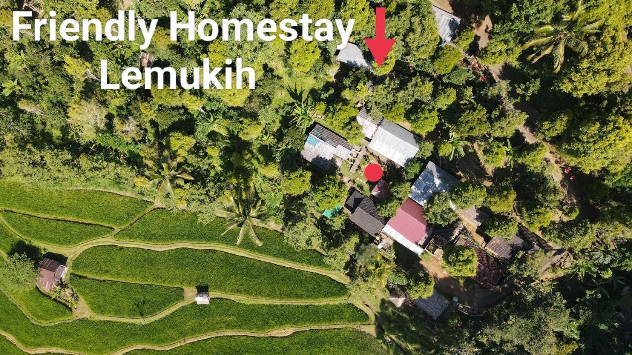 Homestay Friendly Lemukih