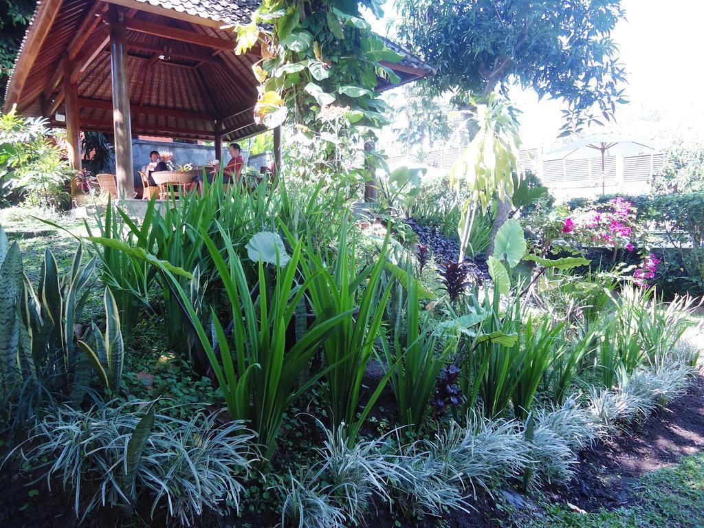 Argasoka Holiday park