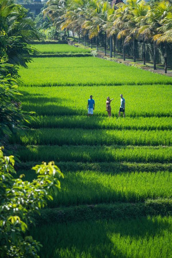 Adiwana Bisma Ubud (Bali)