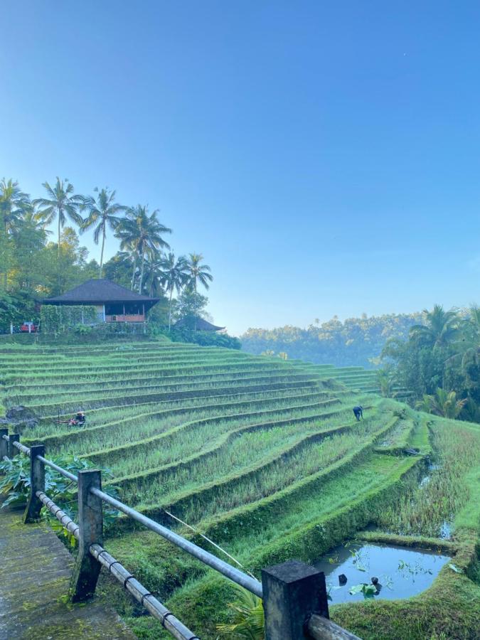 Clove Tree Hill Resort
