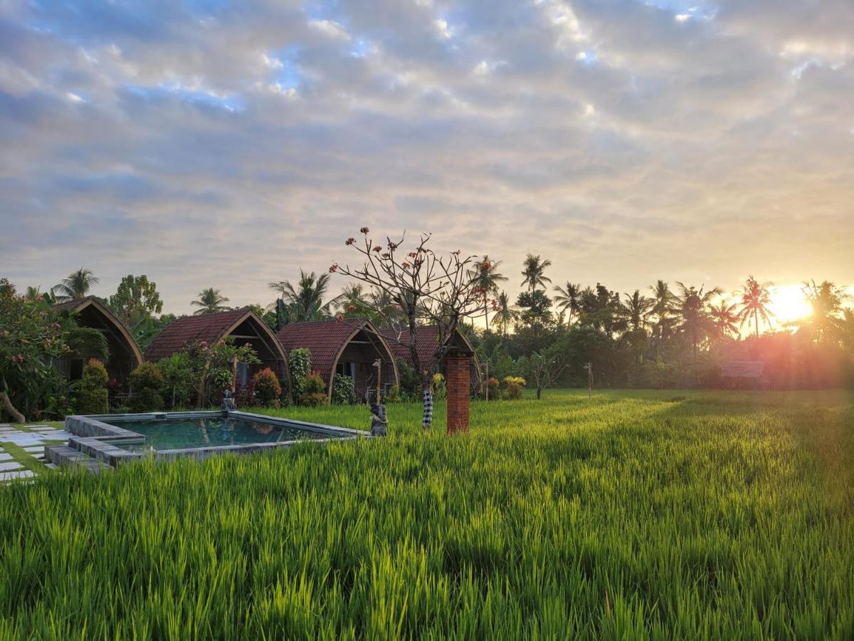 Holiday park Umma Bali Menjangan Retreat Banyuwedang