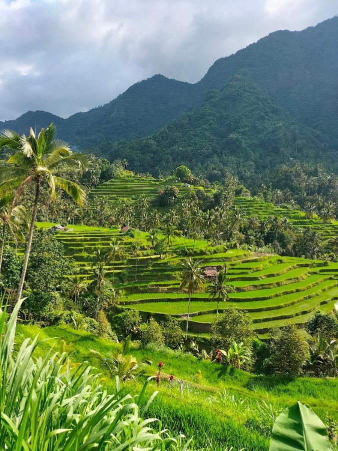 Friendly Lemukih Homestay *