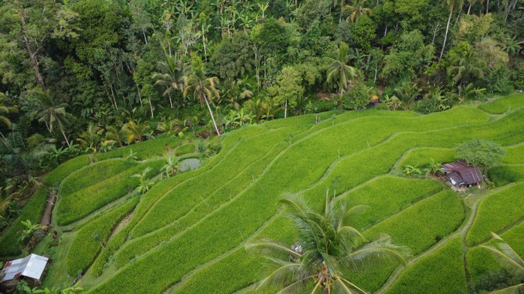 Homestay Friendly Lemukih