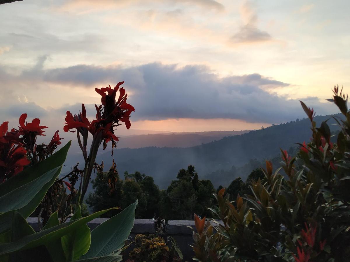 Homestay Puri Sunset Munduk (Bali)