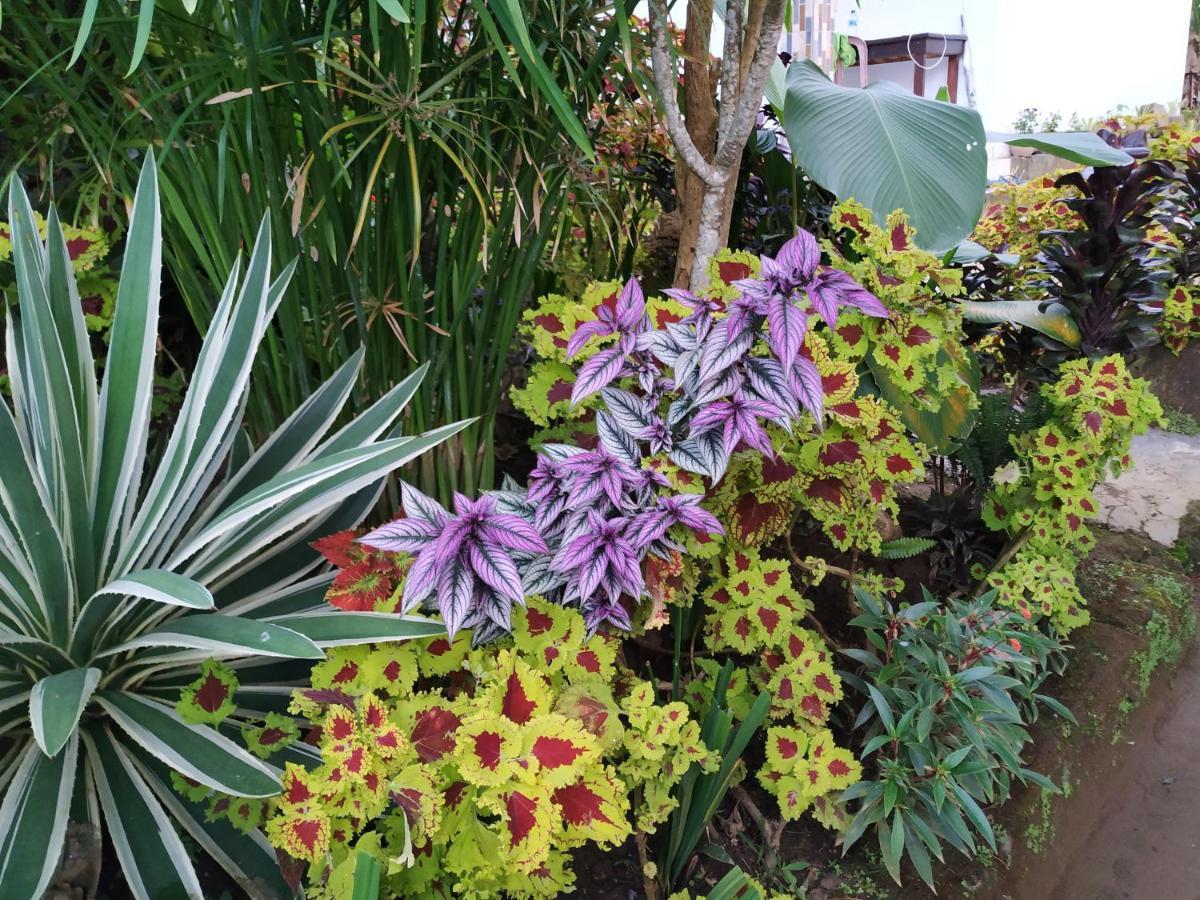 Puri Sunset Homestay