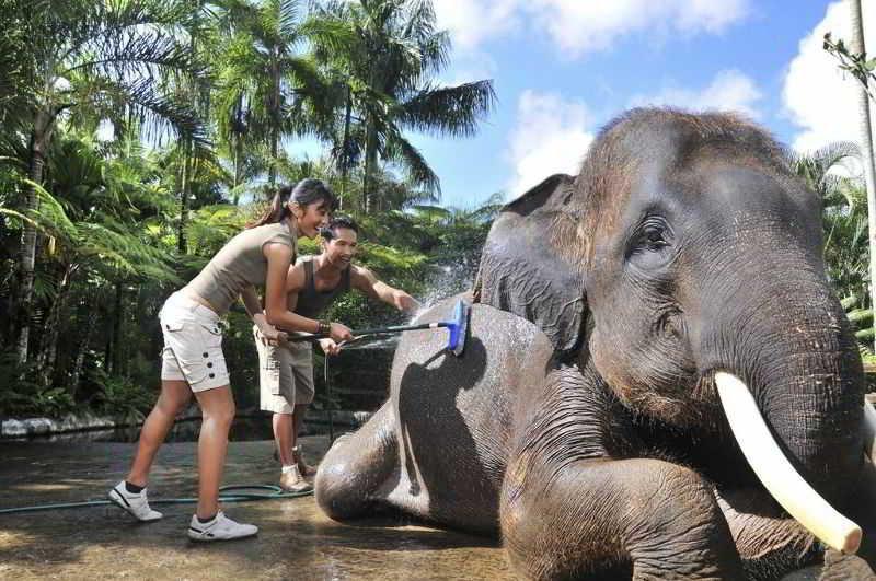 Mason Elephant Holiday park 5*