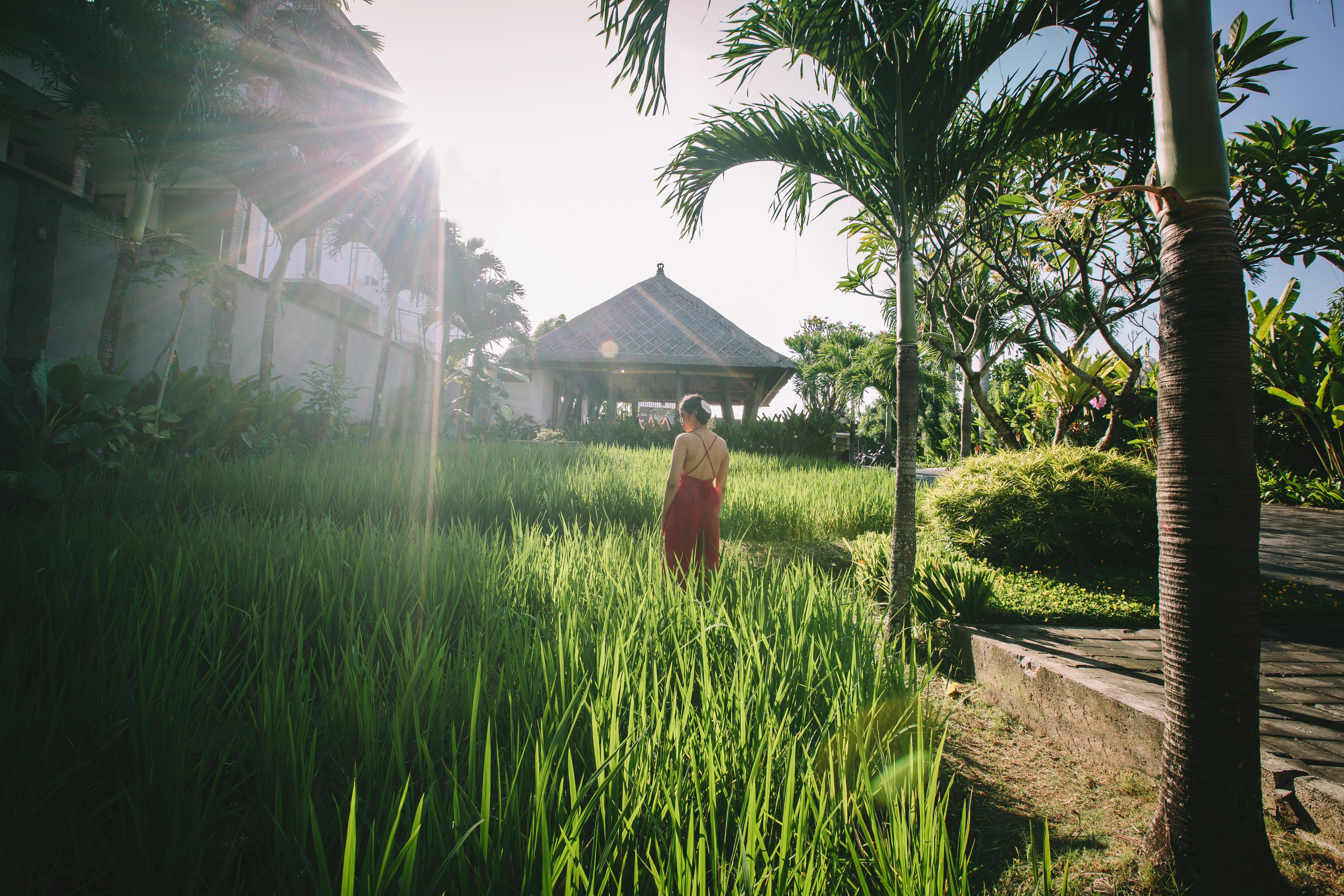 The Kirana Hotel 4*