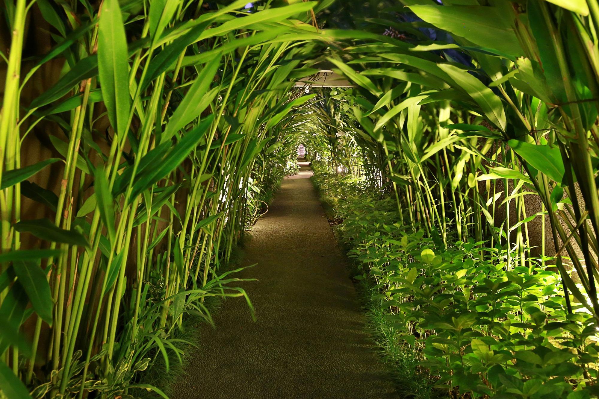 Ziva A Boutique Villa Seminyak (Bali)