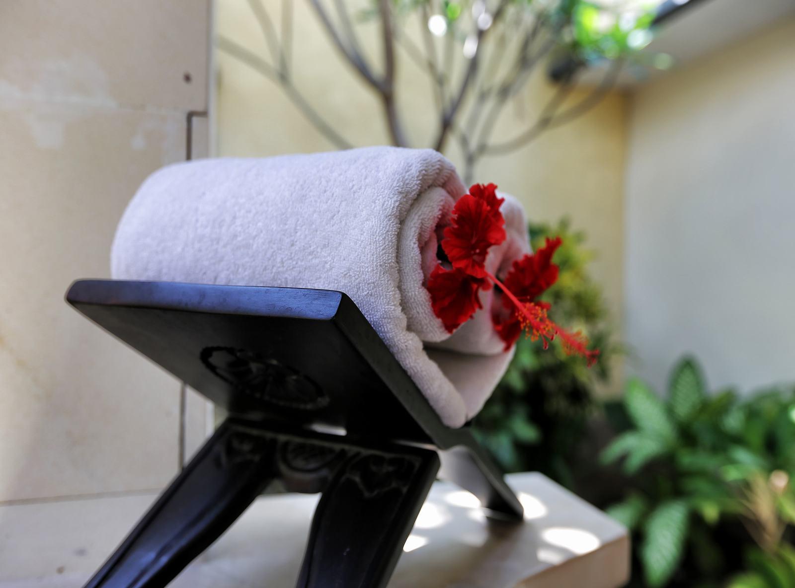 The Sanyas Hotel Seminyak (Bali)