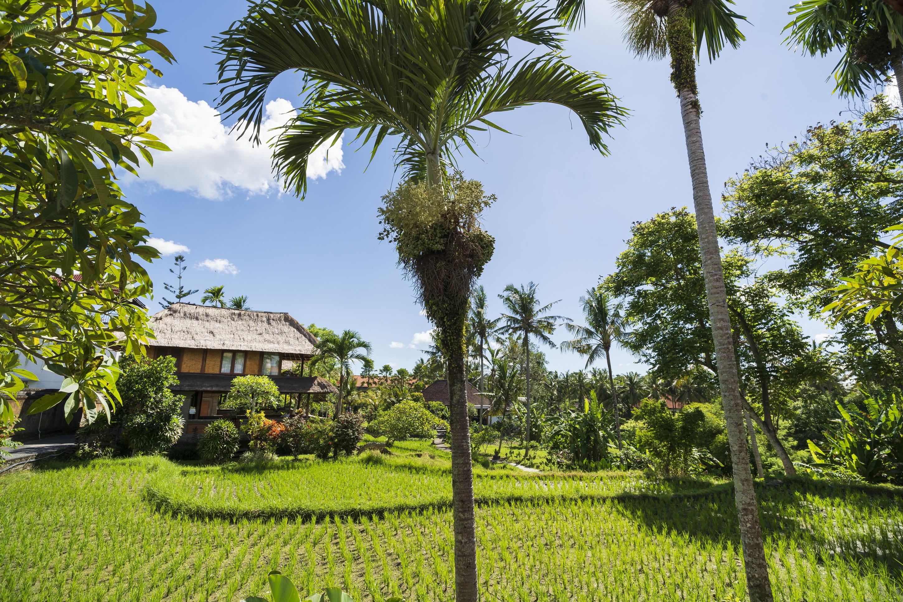 Villa Agung Raka Ubud (Bali)
