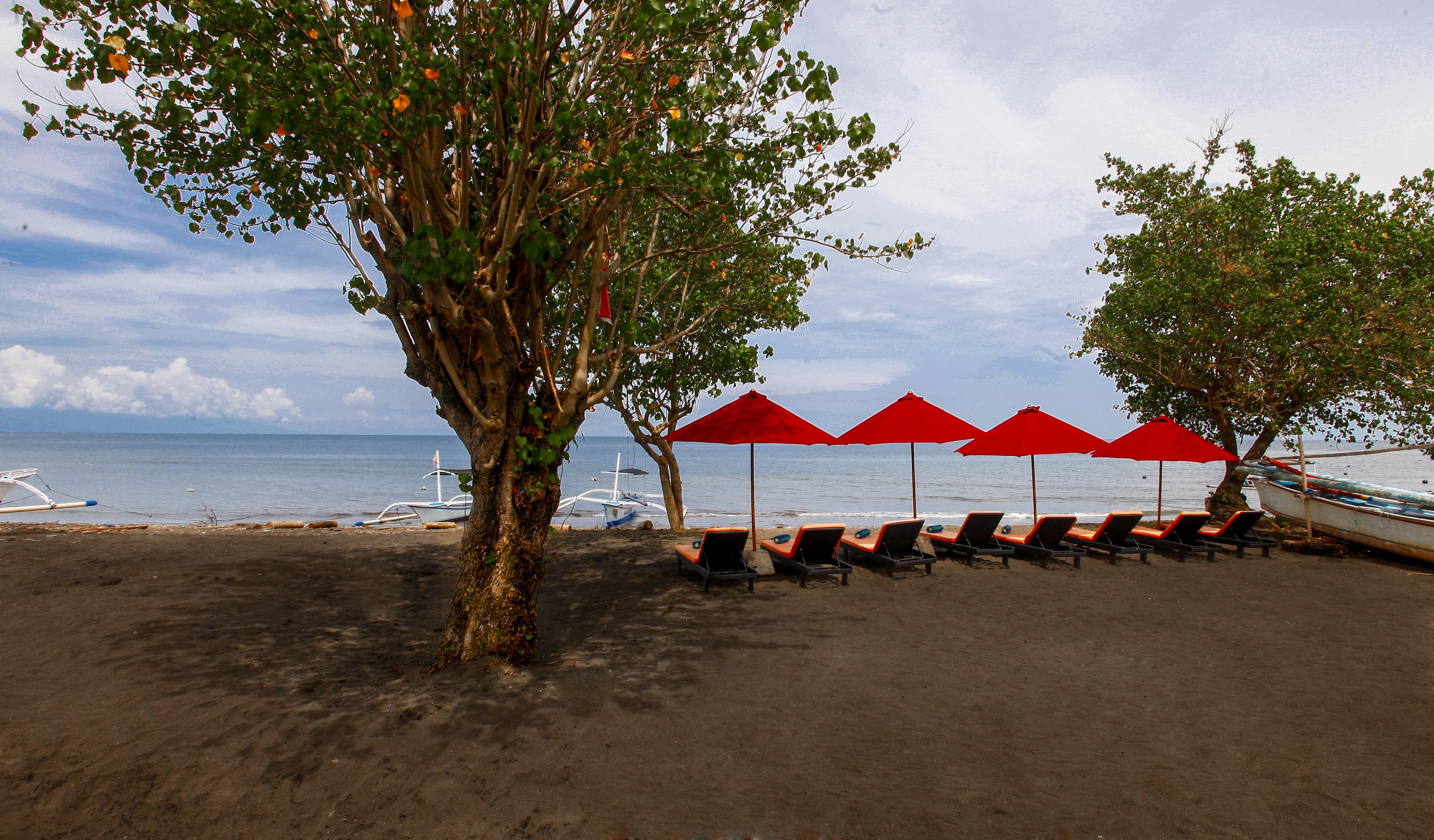 Bali Taman & Lovina Buleleng (Bali)