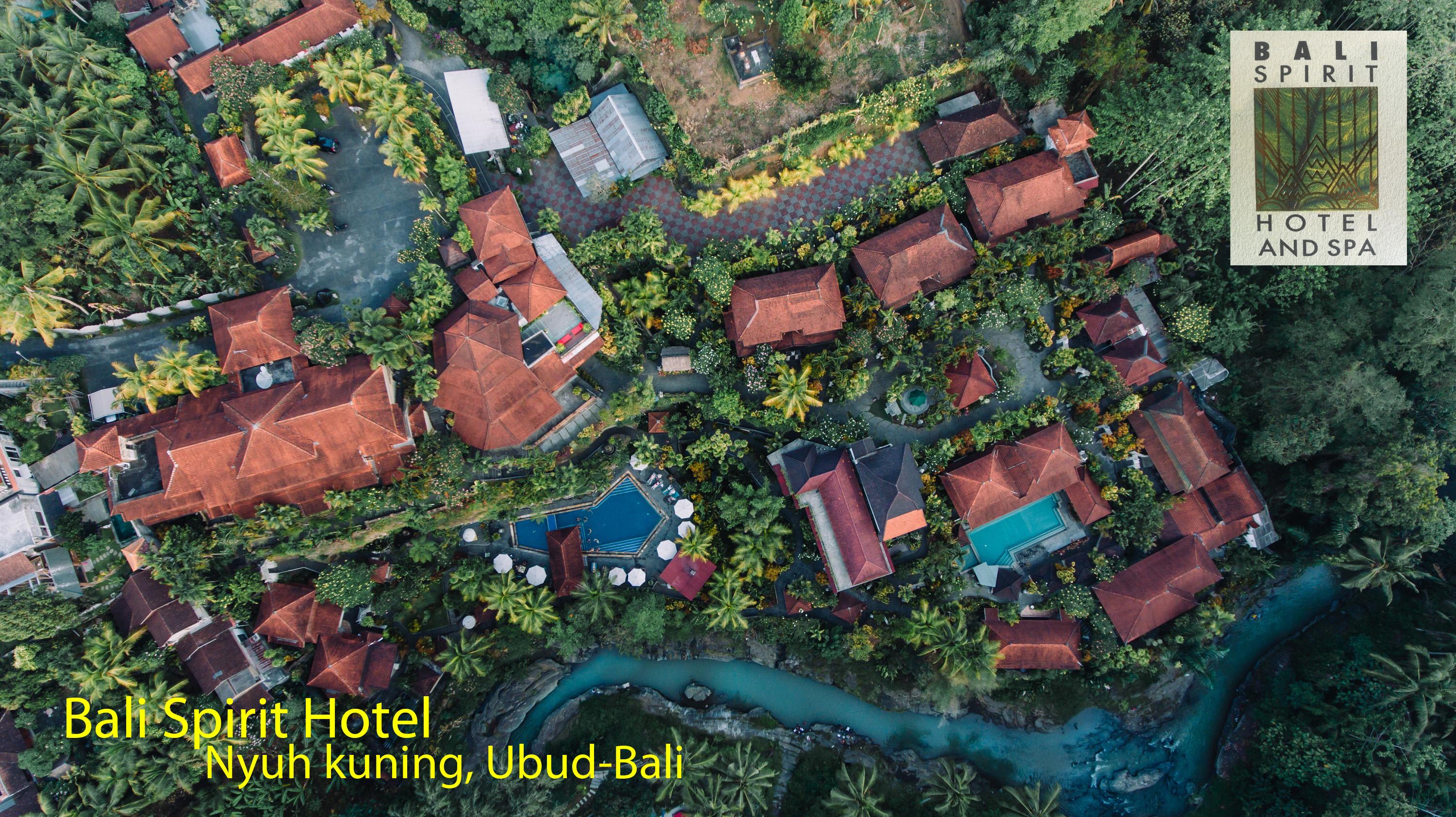 Hotel Bali Spirit Hotel&spa,