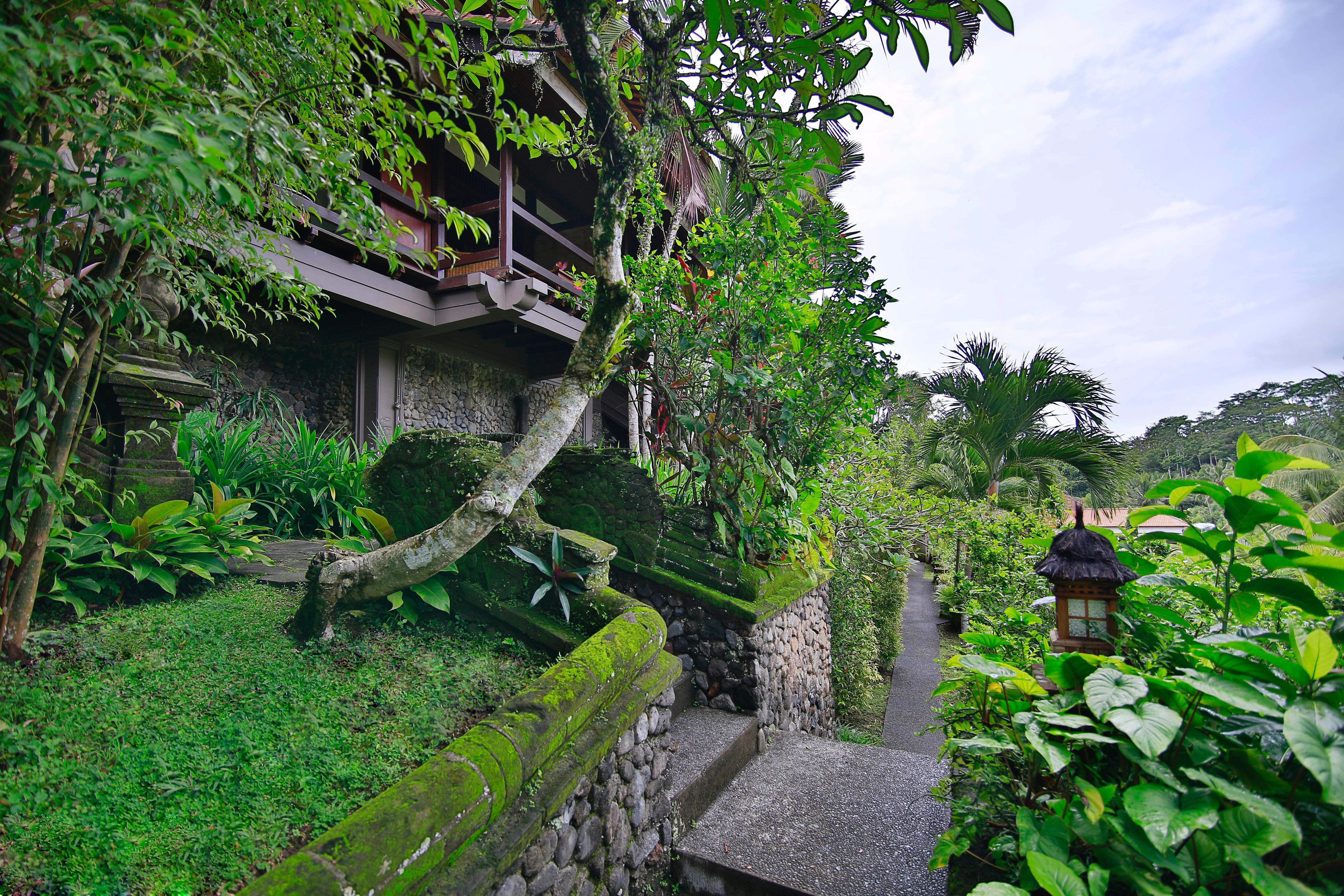 Hotel Bali Spirit Hotel&spa, Ubud (Bali)