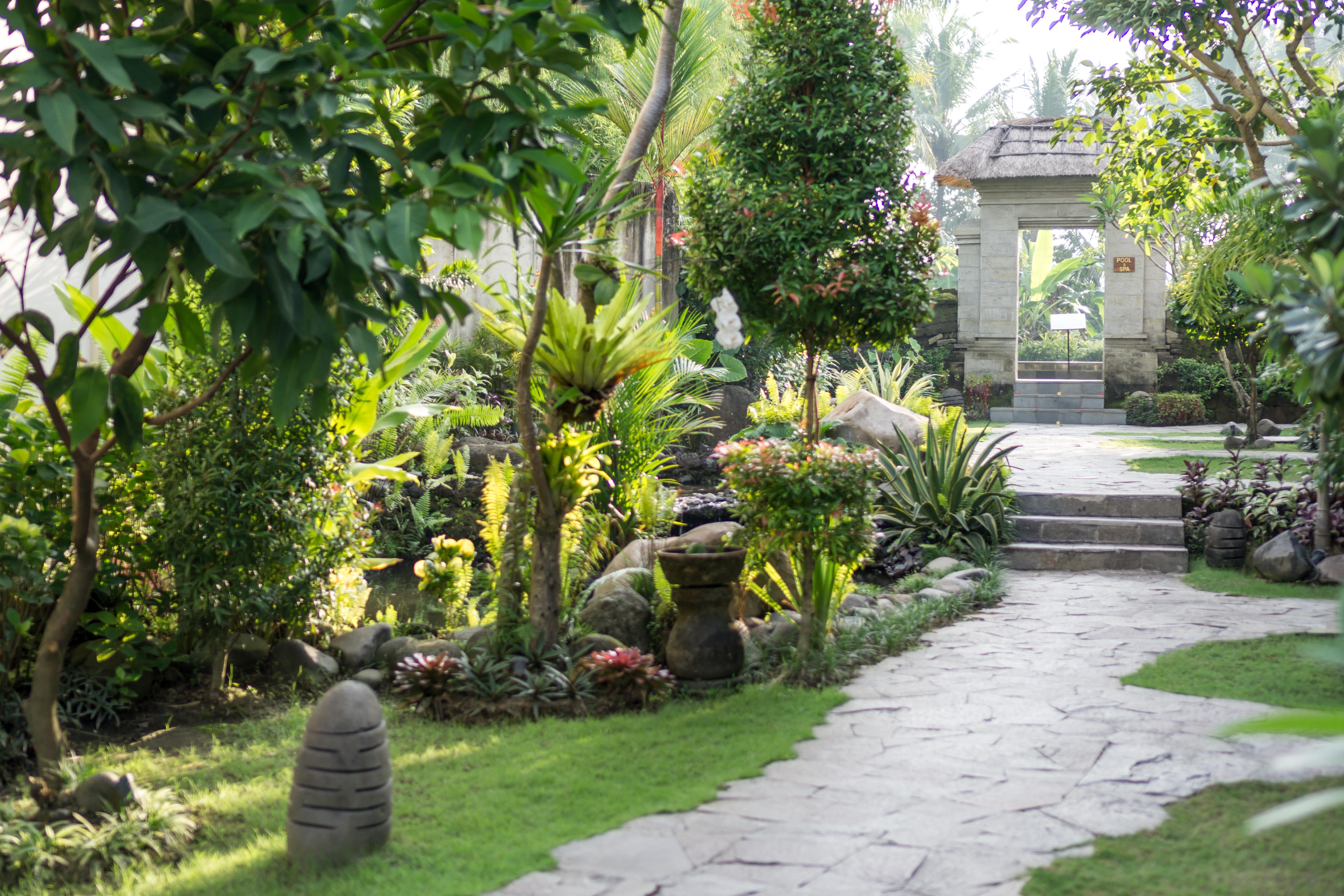 Radha Phala & Resort 4*