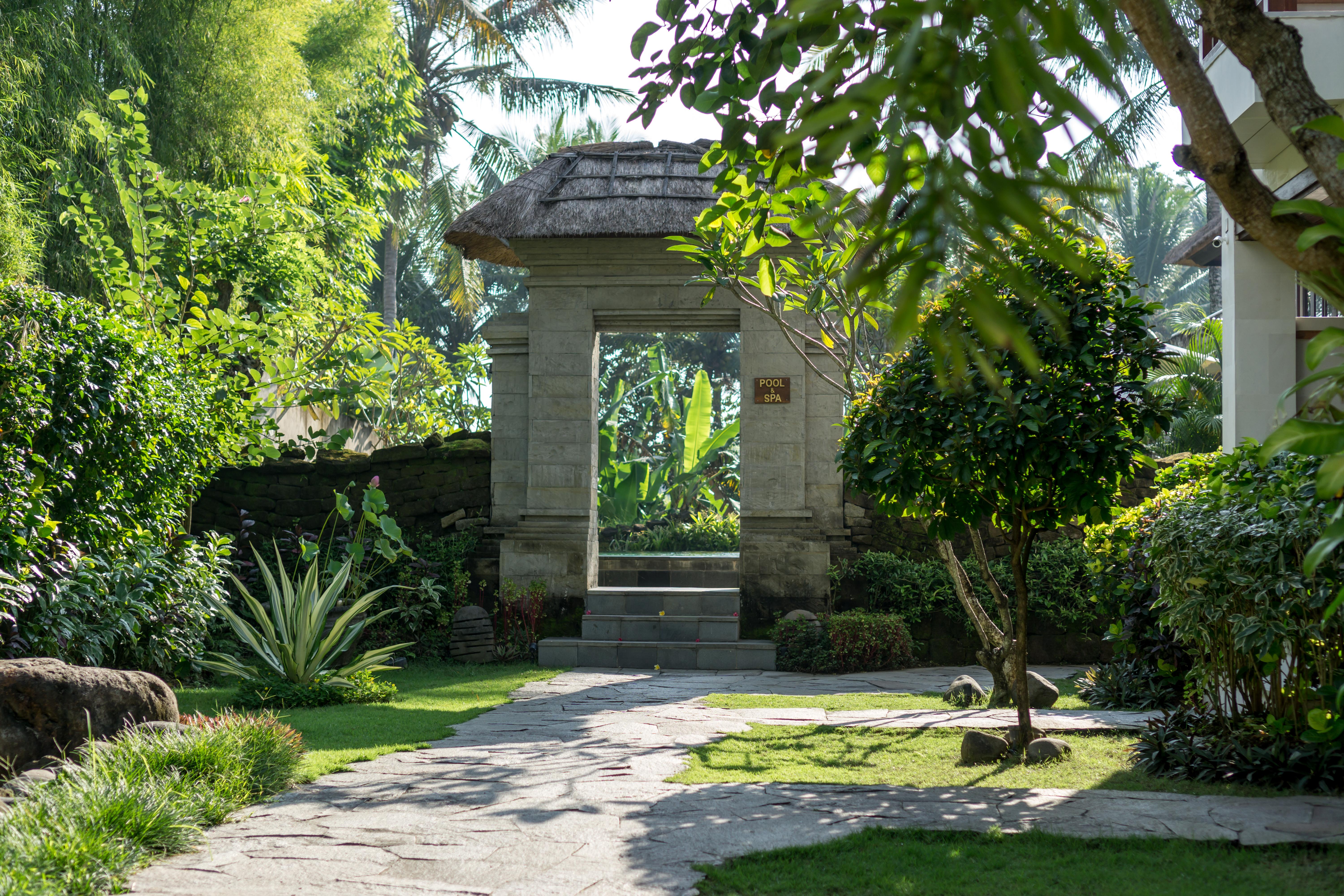 Radha Phala & Ubud (Bali)