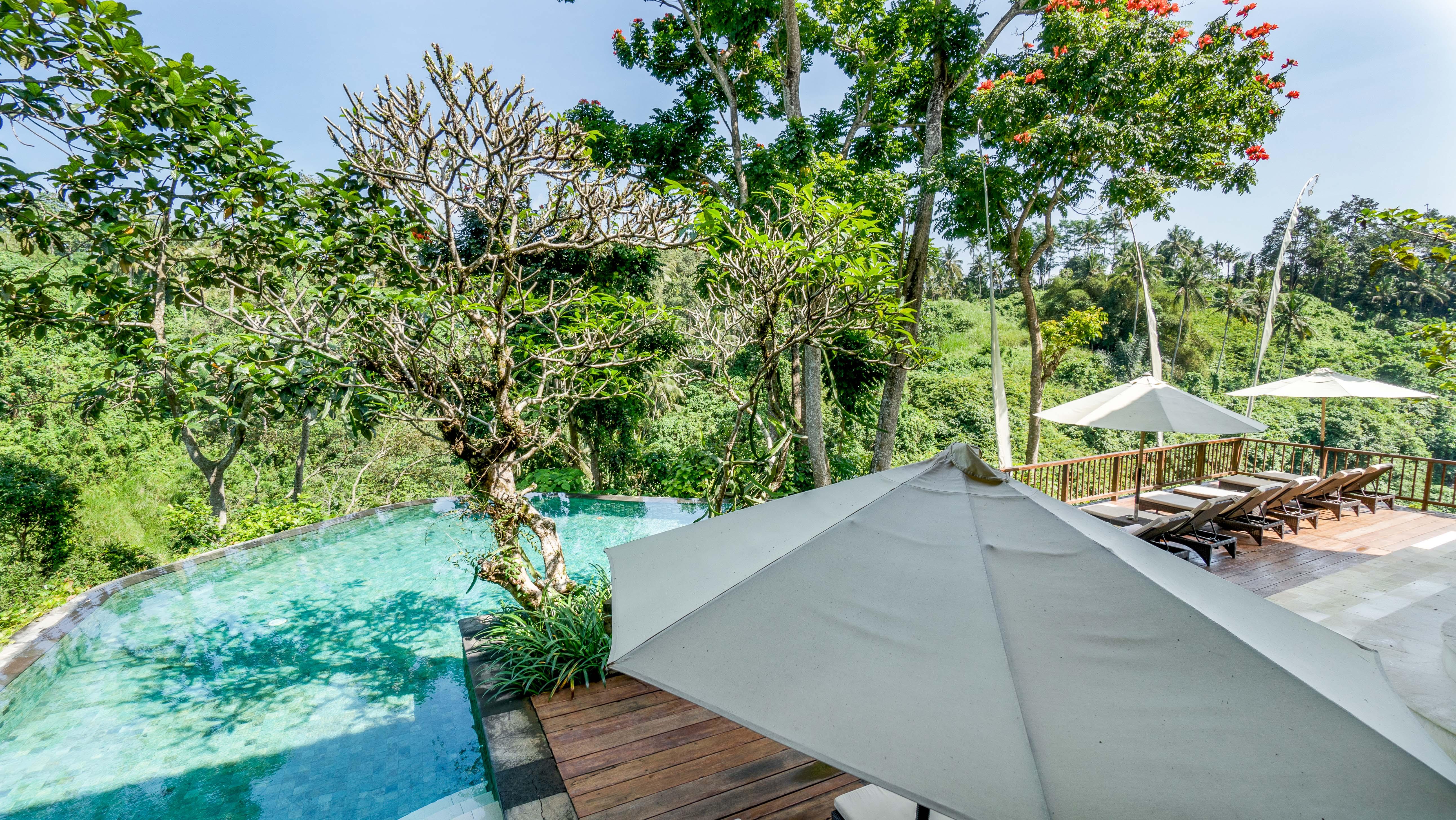 Natura Bali