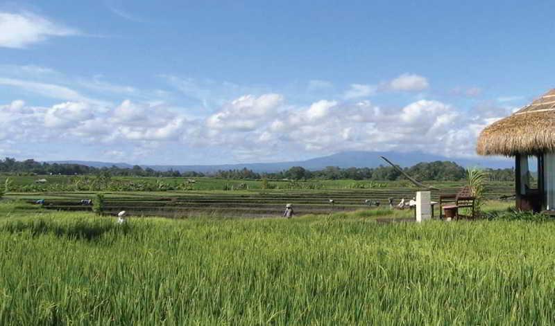 Wakagangga Resor Tabanan (Bali)