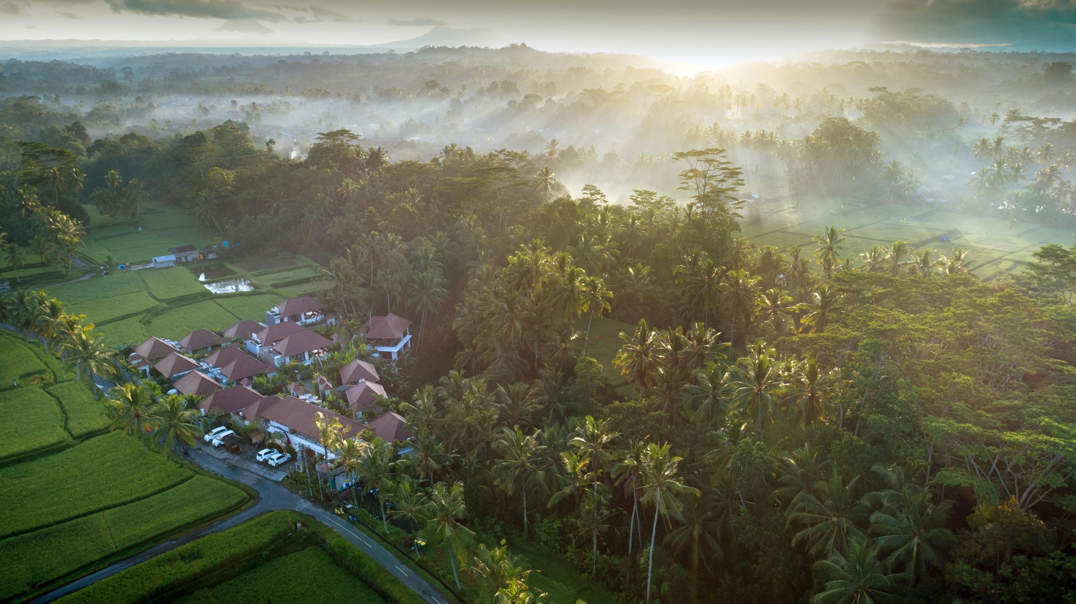 Resort Dedary & By Ini Vie Hospitality 4*
