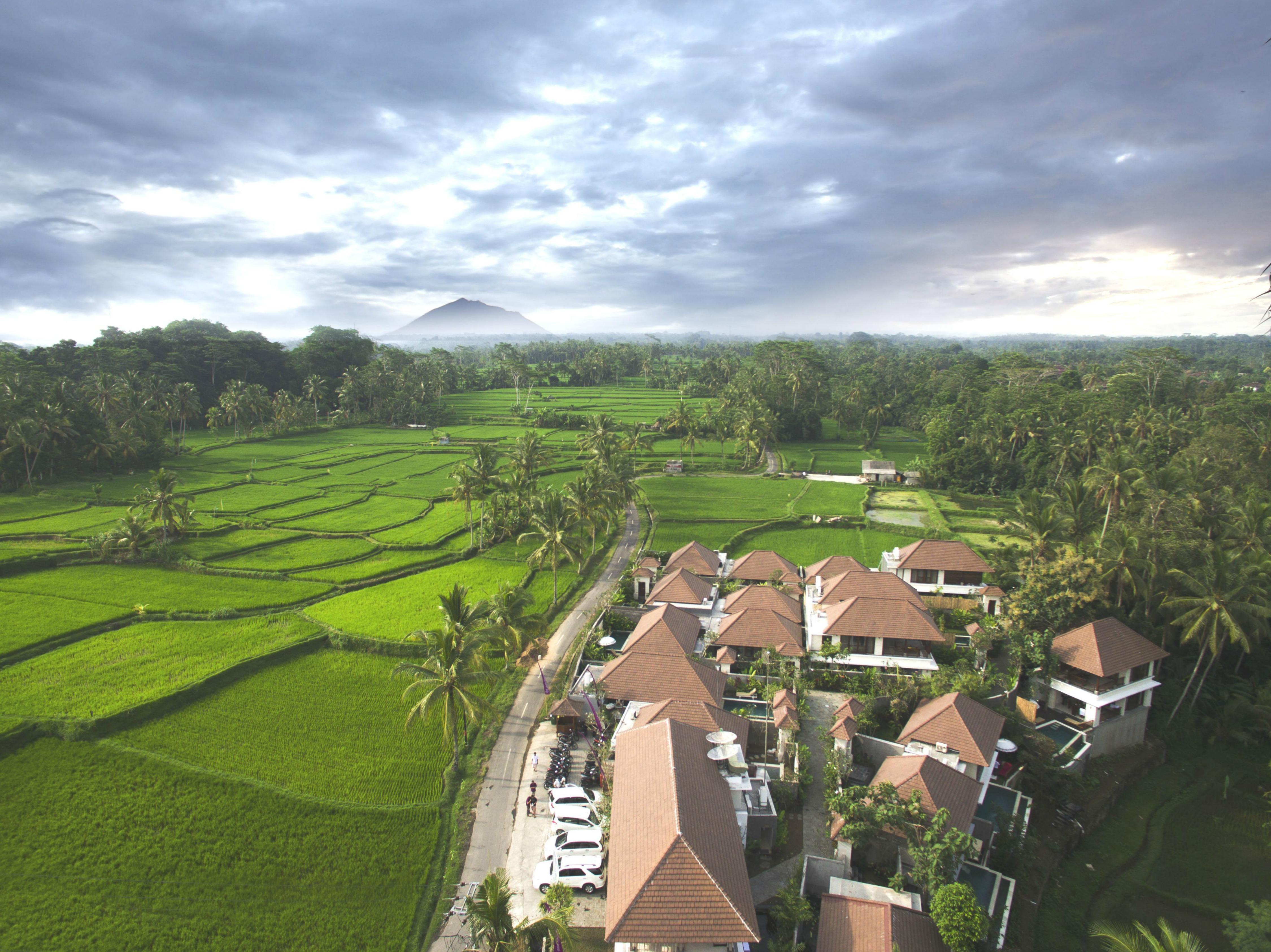 Dedary & By Ini Vie Hospitality Ubud (Bali)