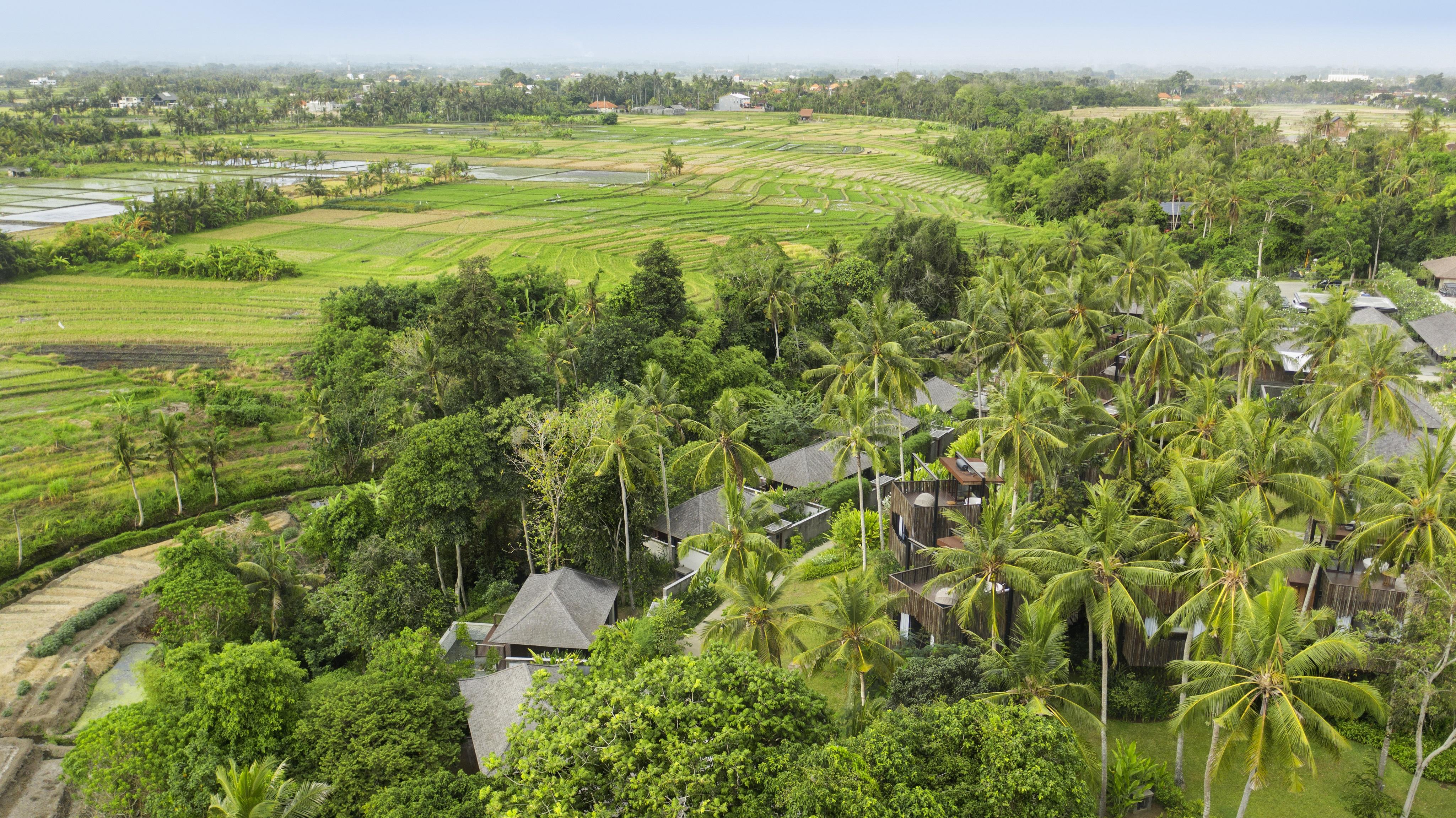 Resort Nirjhara 5*