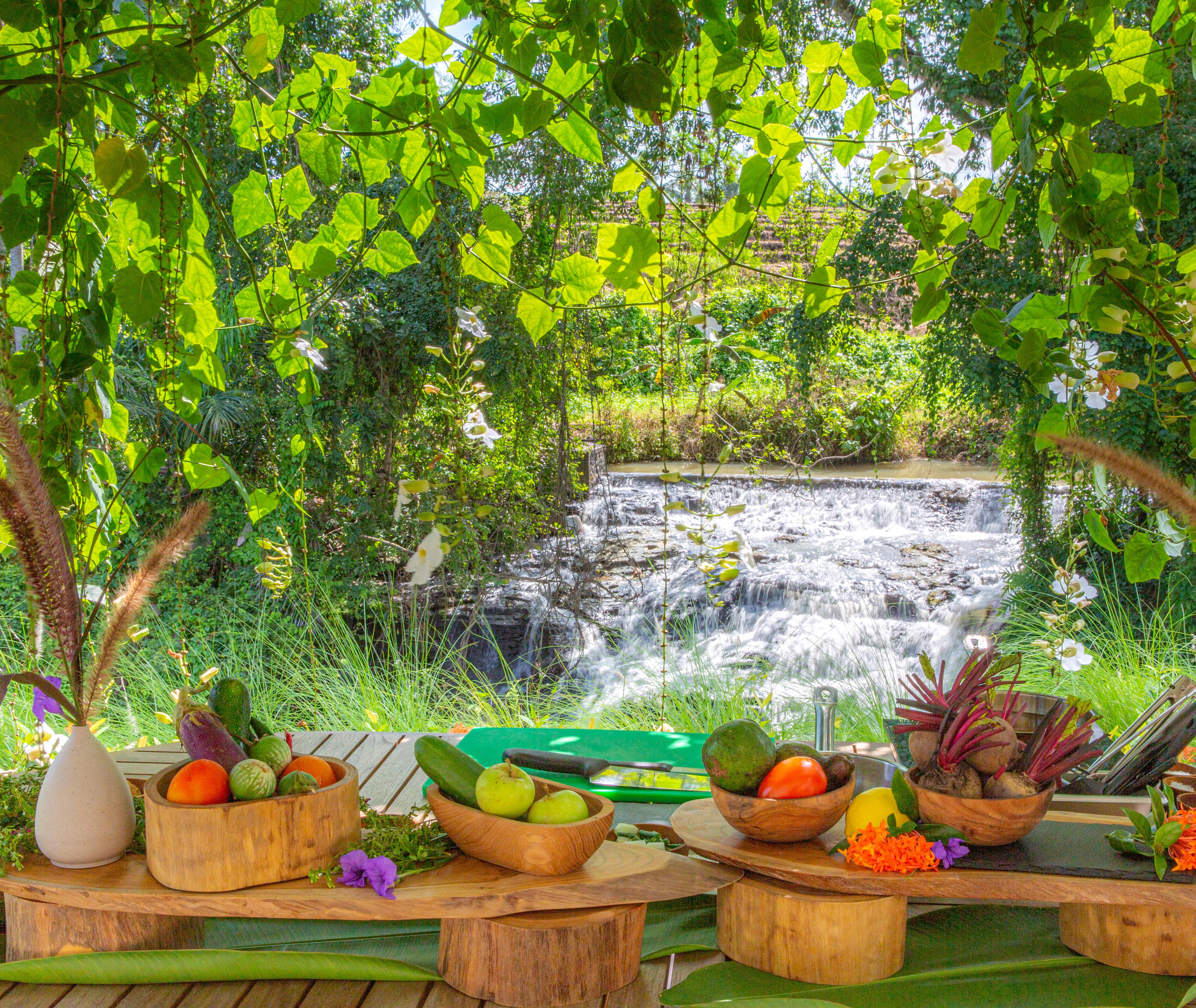 Resort Nirjhara