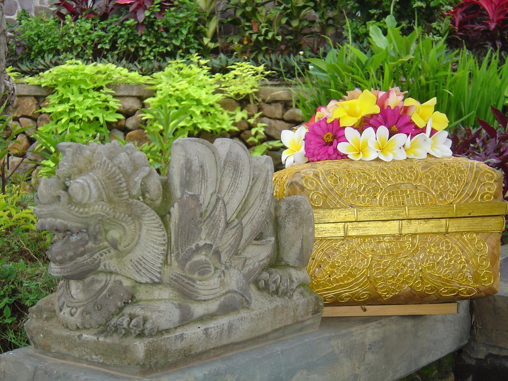 The Raja Singha Boutique Bali * Lovina (Bali)