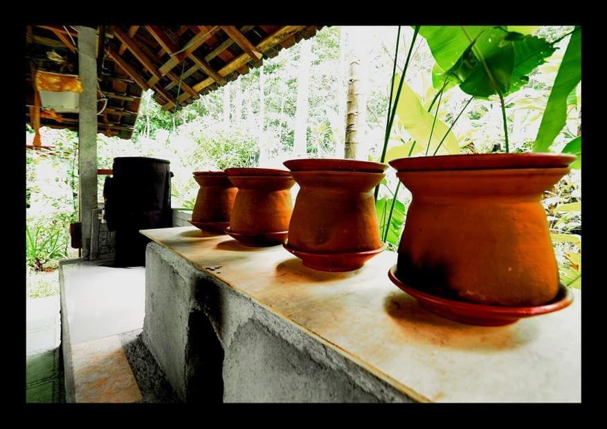 Masa Depan Sidemen (Bali)