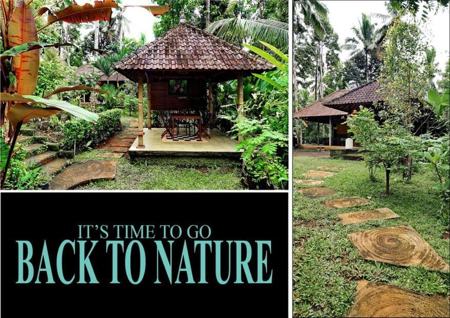 Lodge Masa Depan Sidemen (Bali)