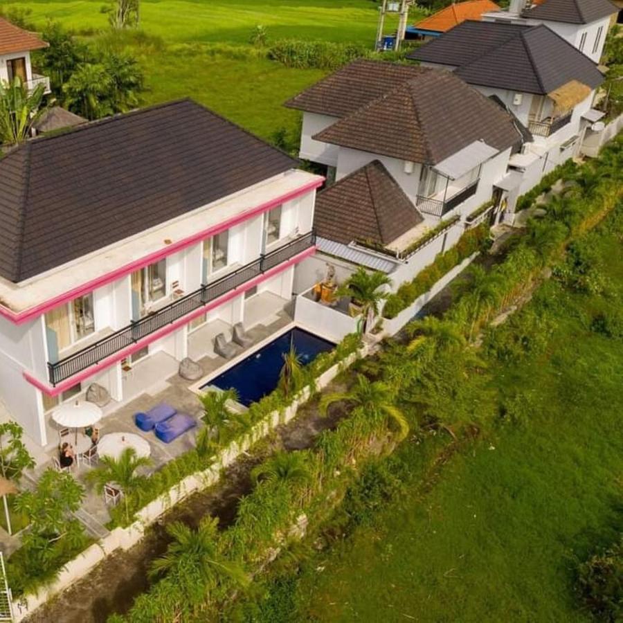Guest house Margarita Surf Canggu (Bali)