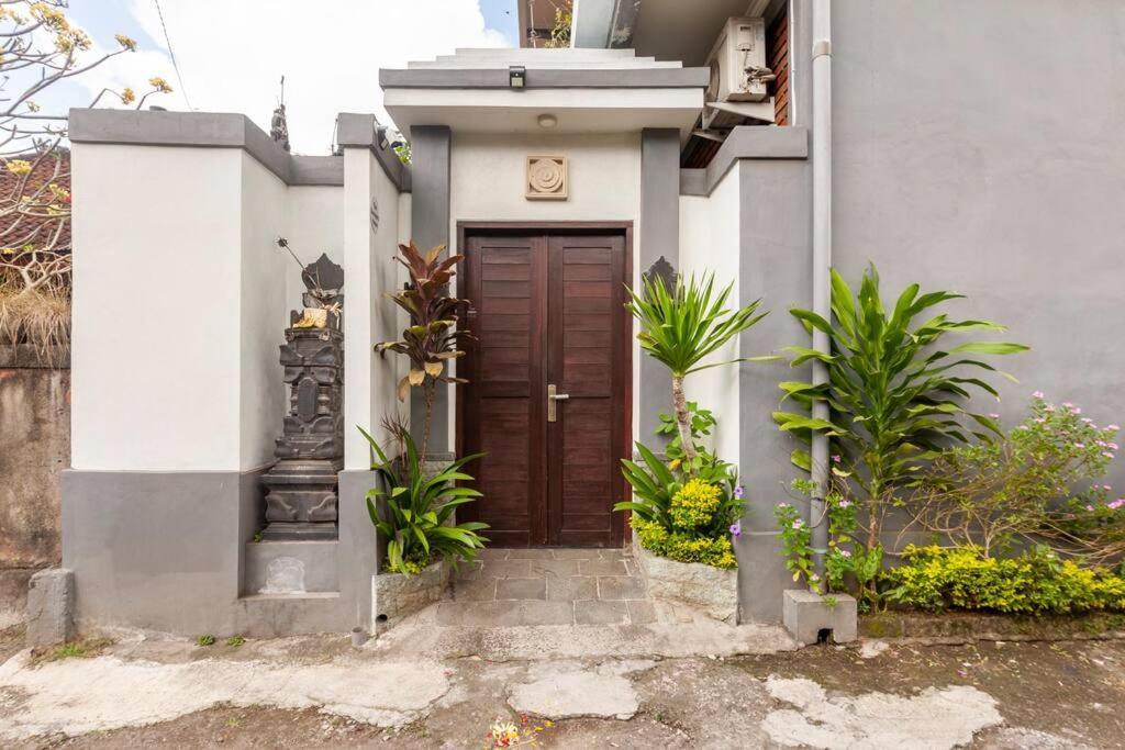 The Backyard House