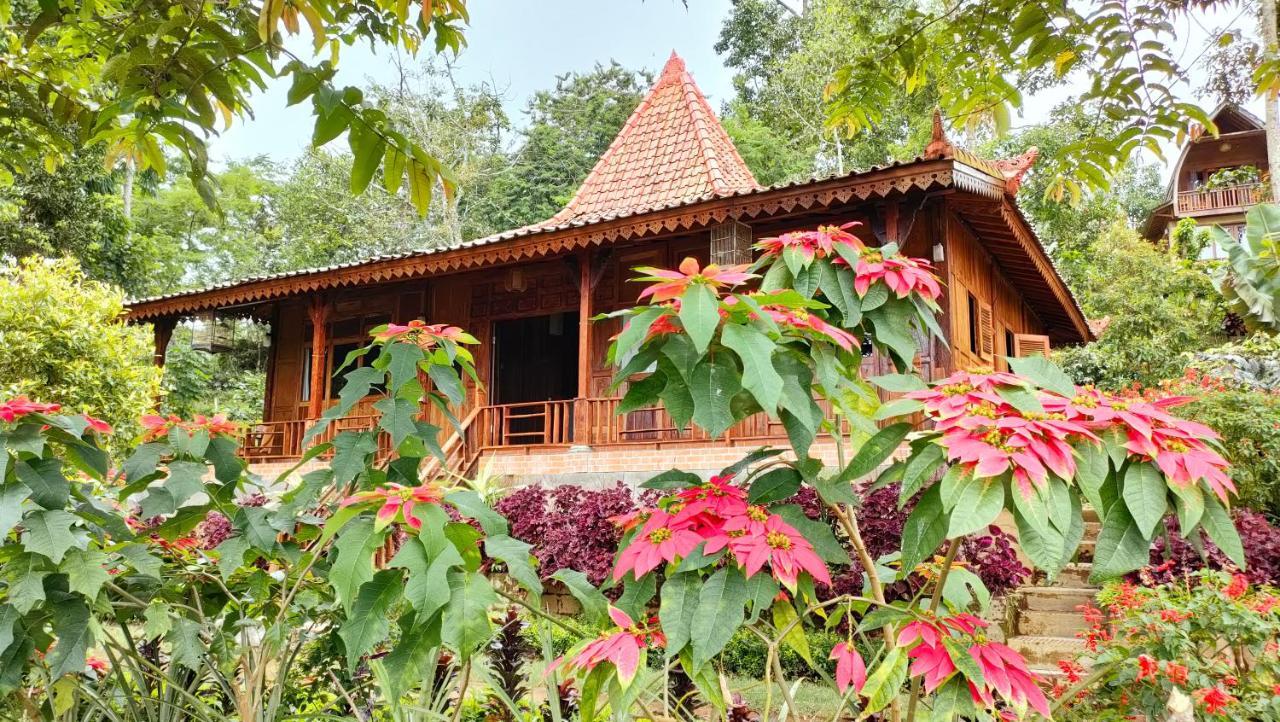 Retreat - Pekak Lelut * Munduk (Bali)